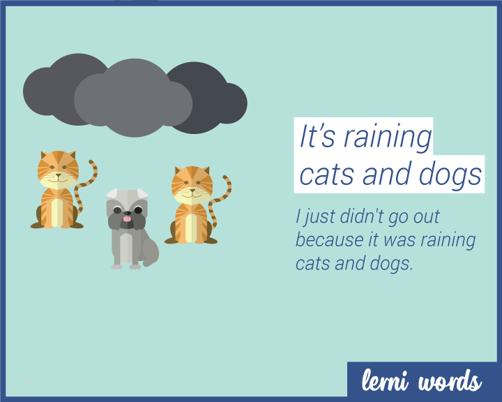 It Is Raining Cats and Dogs